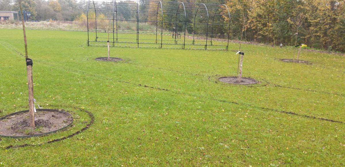 Reparatie robotmaaier werkbank